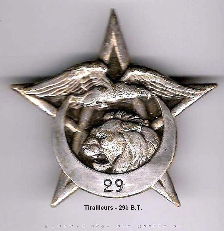 Tirailleurs 29e BT.jpg